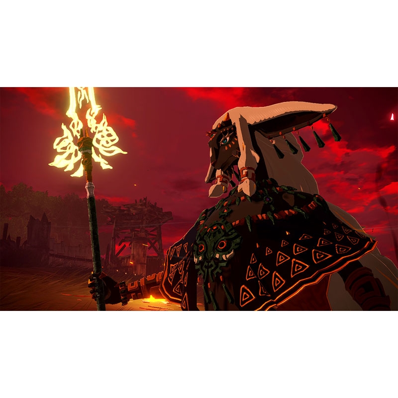 ゼルダ無双 封印戦記 TREASURE BOX : Game Soft (Nintendo Switch 2