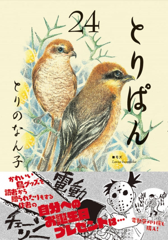 とりぱん 24 ワイドkc : とりのなん子 | HMV&BOOKS online - 9784065141458