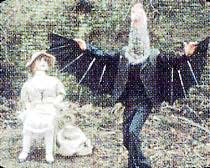 悦楽共犯者 : ヤン・シュヴァンクマイエル | HMV&BOOKS online - COBM-5066