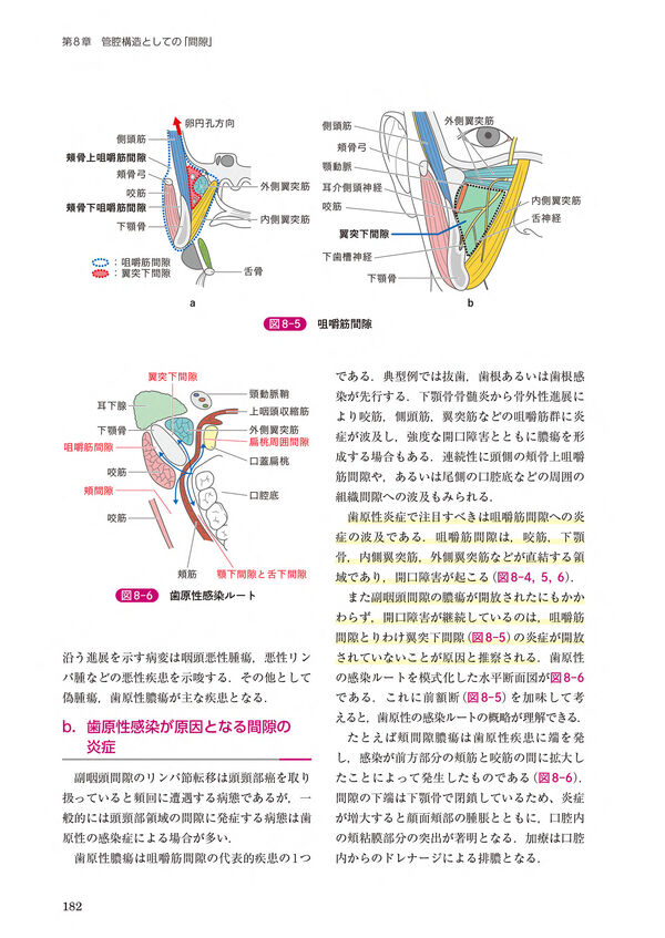 頭頸部外科診療に役立つ 頭頸部管腔構造の理解 西嶌 渡(著) - 南山堂