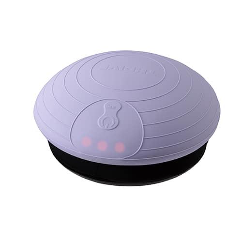 大東電機工業 THRIVE フィットネス用品 【新品同様】バランスボーイ