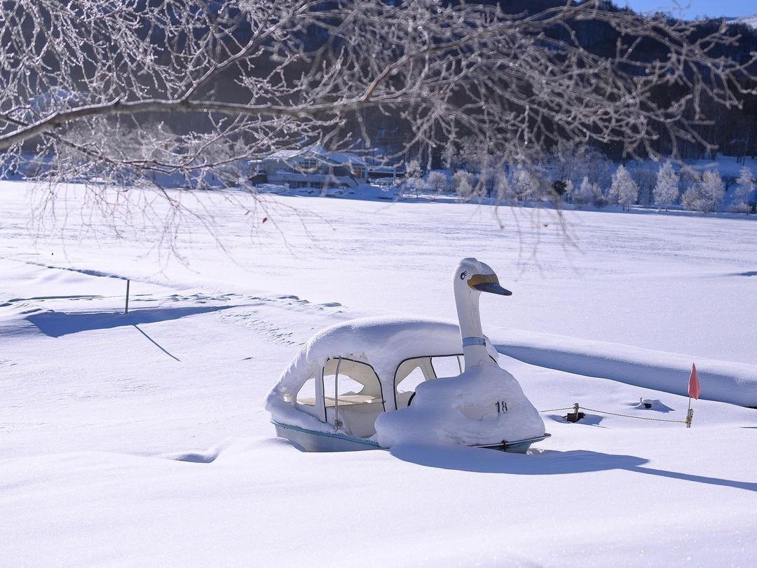 Nikon NIKKOR Z 40mm f/2を徹底解説。愛用者の作例・レビュー付き