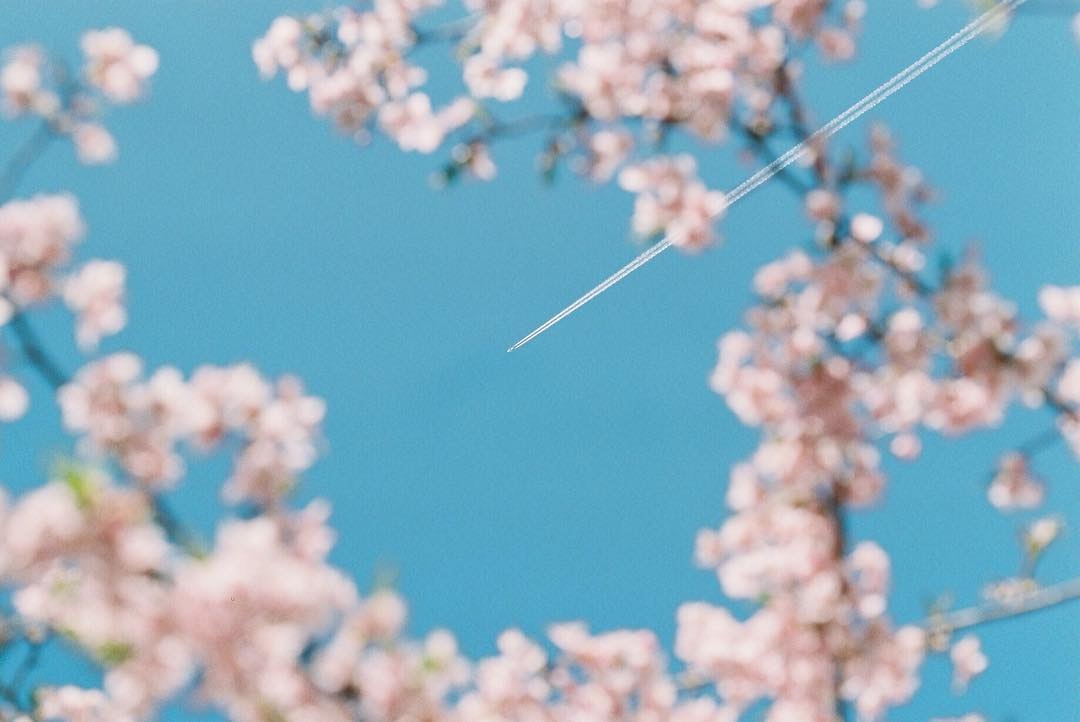 Super-Taumar 55mm F1.8を徹底解説。愛用者のレビュー・作例付き | ONE