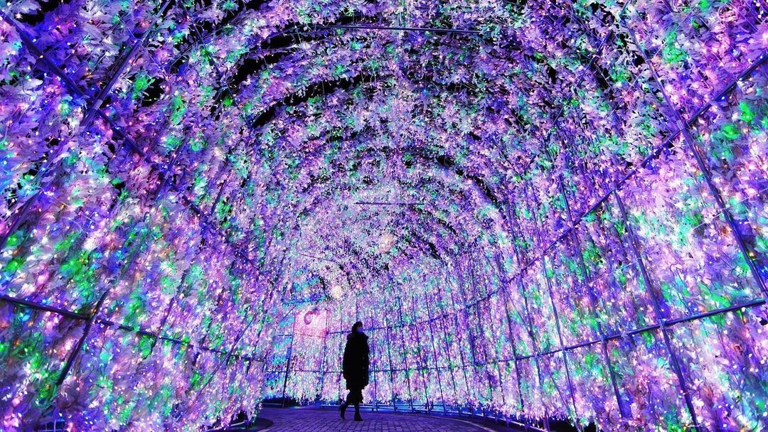 Canon EF14mm F2.8L II USMを徹底解説。作例からレビューまで | ONE