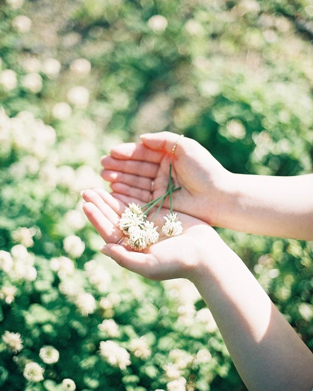 Canon NewFD 50mm F1.4を徹底解説。作例から中古相場まで | ONE SCENE