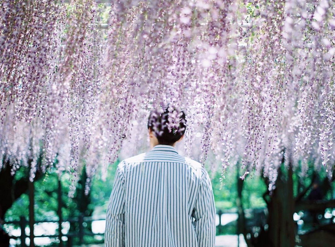 Super-Taumar 55mm F1.8を徹底解説。愛用者のレビュー・作例付き | ONE