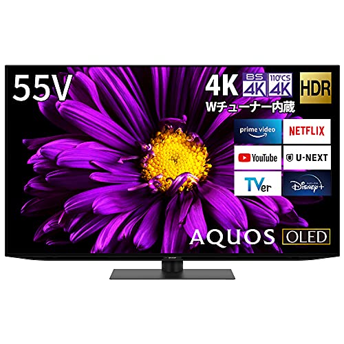 LG 4Kチューナー内蔵 有機ELテレビ OLED55B1PJAをレビュー！クチコミ