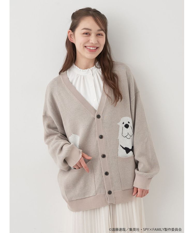 ボンドイメージ ニットカーディガン/earth music&ecology（アース