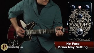 CATALINBREAD ( カタリンブレッド ) Galileo MKII 送料無料 | サウンド