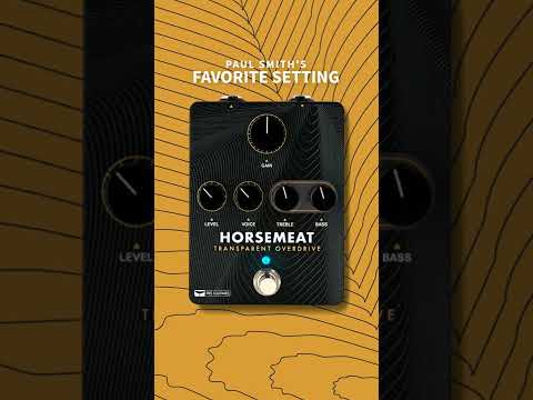 PRS Horsemeat Transparent Overdrive Pedal | Sweetwater