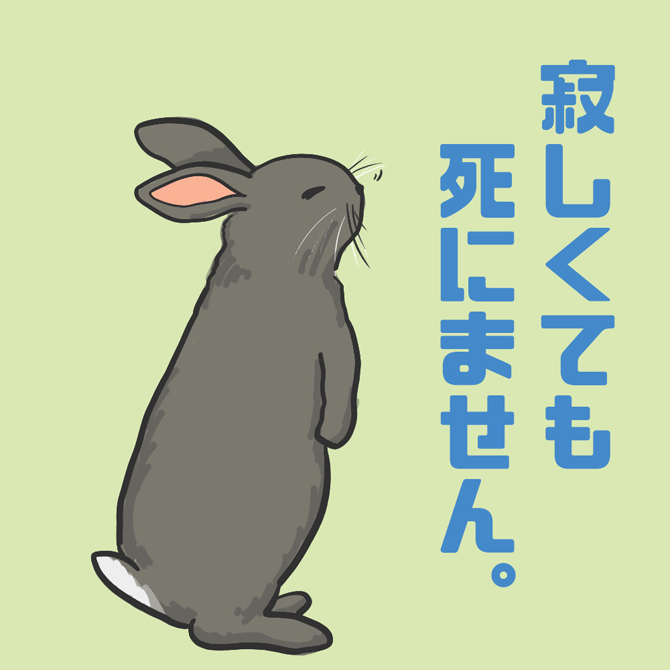 2023年の干支はうさぎ！ふれあい、ご利益、グッズ…うさぎスポットへ