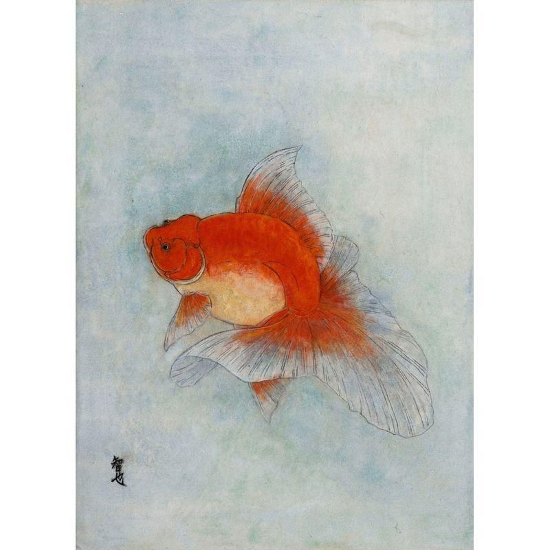 田渕智也 「金魚」 日本画4号 - 一枚の繪オンラインショップ