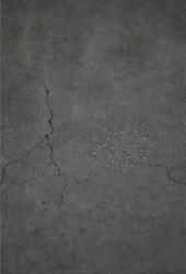 内藤礼: うつしあう創造