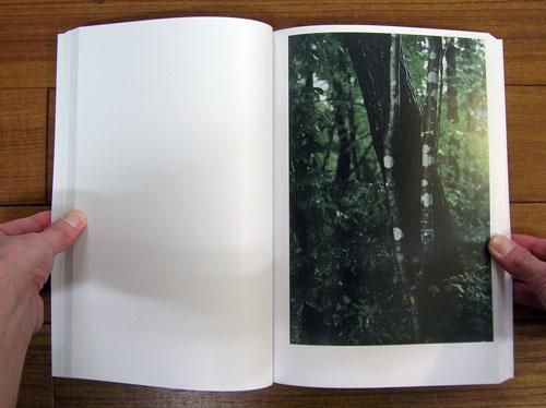 ホンマタカシ: その森の子供 [Takashi Homma: Mushrooms From The