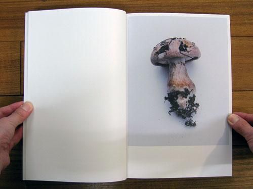 ホンマタカシ: その森の子供 [Takashi Homma: Mushrooms From The