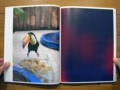 Wolfgang Tillmans: Neue Welt - BOOK OF DAYS ONLINE SHOP