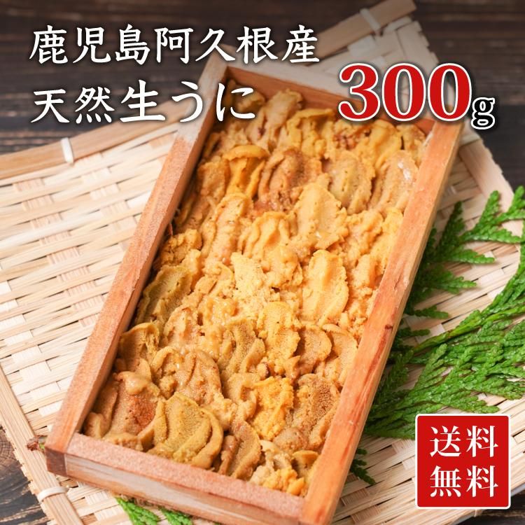 天然生うに 鹿児島県阿久根産 約60g×5枚セット（送料無料）の通販