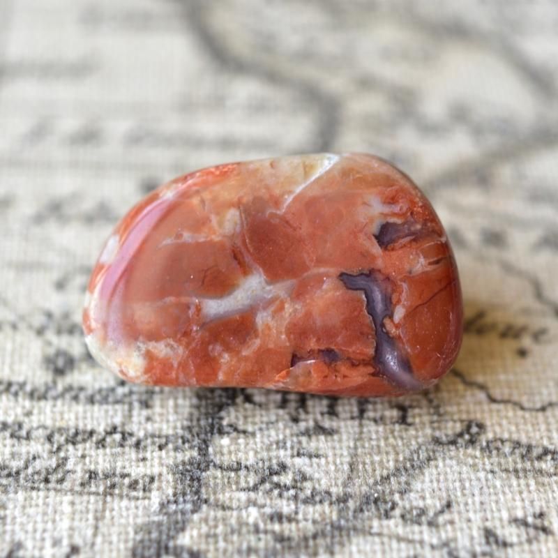 コプロライト 恐竜糞化石 アメリカ・ユタ州産 13g/ 化石・フォッシル