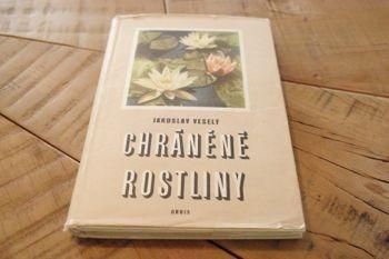 158点の美しい植物画]チェコの古いさ植物図鑑(1936年)/ボタニカル
