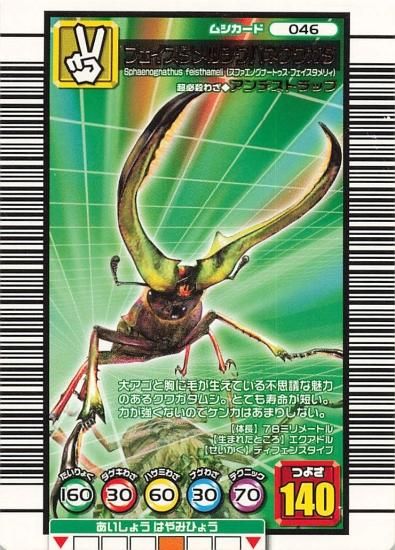 甲虫王者ムシキング フェイスタメルシワバネクワガタ 046