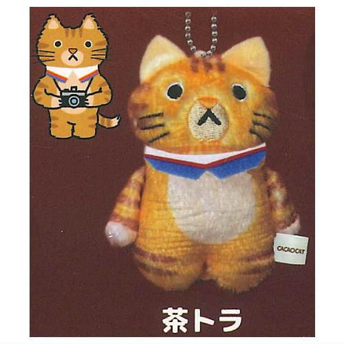 CACAOCAT もふもふぬいぐるみ [4.茶トラ],ホットライン ガチャガチャ