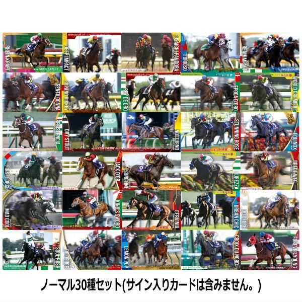 送料無料】サラブレッドホースコレクション ツインウエハース 第3R