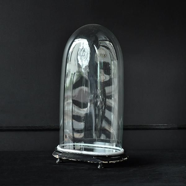 アンティーク 楕円ガラスドームH49.5cm/フランスアンティーク雑貨