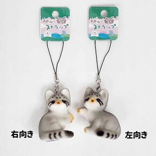 旭山のマヌルネコ ストラップ≪☆LP対応≫ - 旭山動物園くらぶ