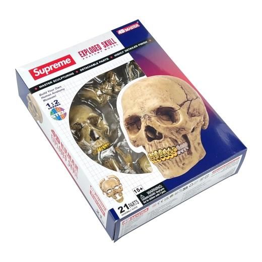 SUPREME (シュプリーム) / 4D MODEL HUMAN SKULL / NATURAL - GANGSTA
