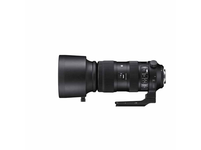 シグマ、高倍率ズームレンズ「60-600mm F4.5-6.3 DG OS HSM | Sports