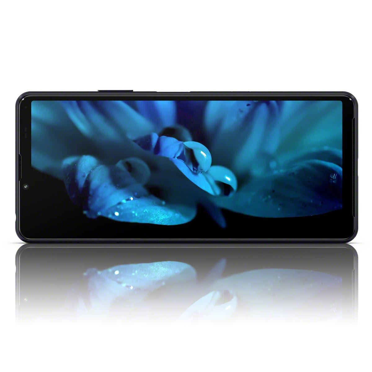 うっかり漏れた？ 楽天モバイルから「Xperia 10 III Lite」が登場間近