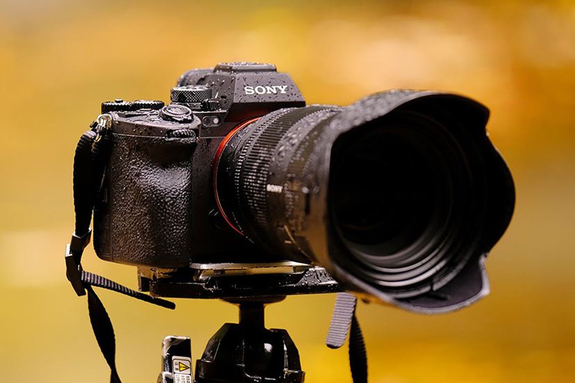 ソニー「α7R V」ファーストインプレッション、新しい6100万画素機を