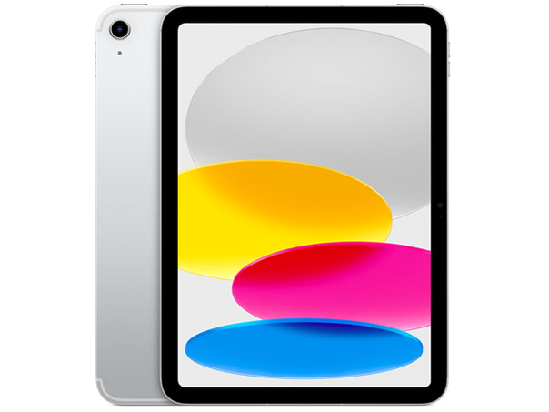 Apple iPad 10.2インチ 第9世代 Wi-Fi+Cellular 256GB 2021年秋モデル