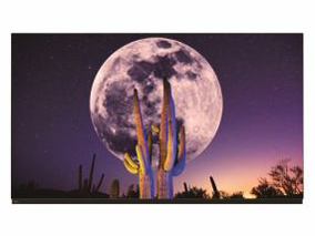 フナイ FE-65U7030 [65インチ] 価格比較 - 価格.com