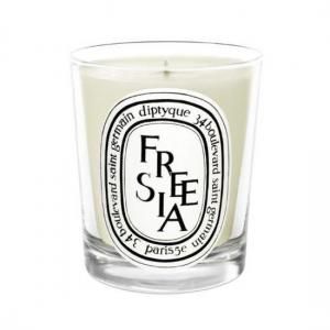 正規通販】diptyque キャンドル GERANIUM ROSA(ゼラニウムローザ