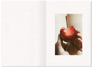 My Photo Books by Lina Scheynius