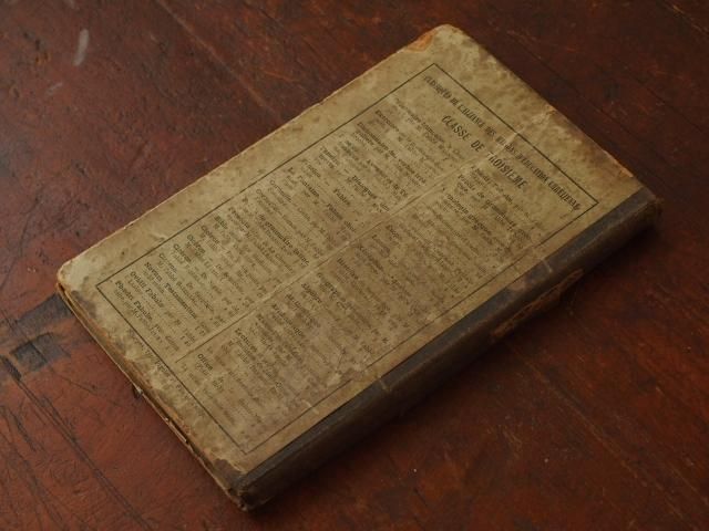 1882年のアンティーク本 - アンティーク食器と雑貨のお店 lincs