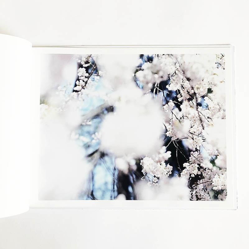 SAKURA by Risaku Suzuki桜 鈴木理策 - 古本買取 2手舎/二手舎 nitesha