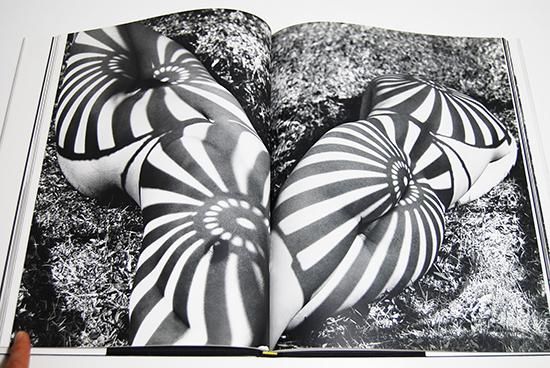 HERB RITTS PICTURES ハーブ・リッツ 写真集 - 古本買取 2手舎/二手舎