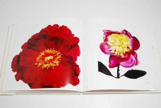 FLOWERS Irving Penn アーヴィング・ペン 写真集 - 古本買取 2手舎