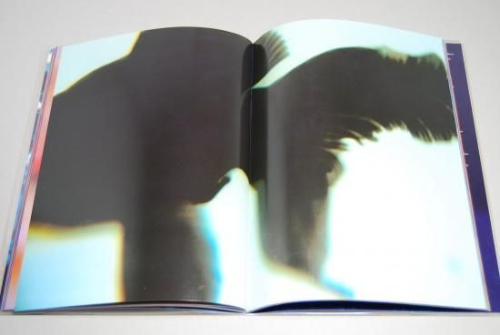 リキッド・ドリームス 蜷川実花 写真集 LIQUID DREAMS Ninagawa Mika