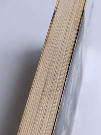 美術選書 夢の宇宙誌 コスモグラフィアファンタスティカ 澁澤龍彦 美術