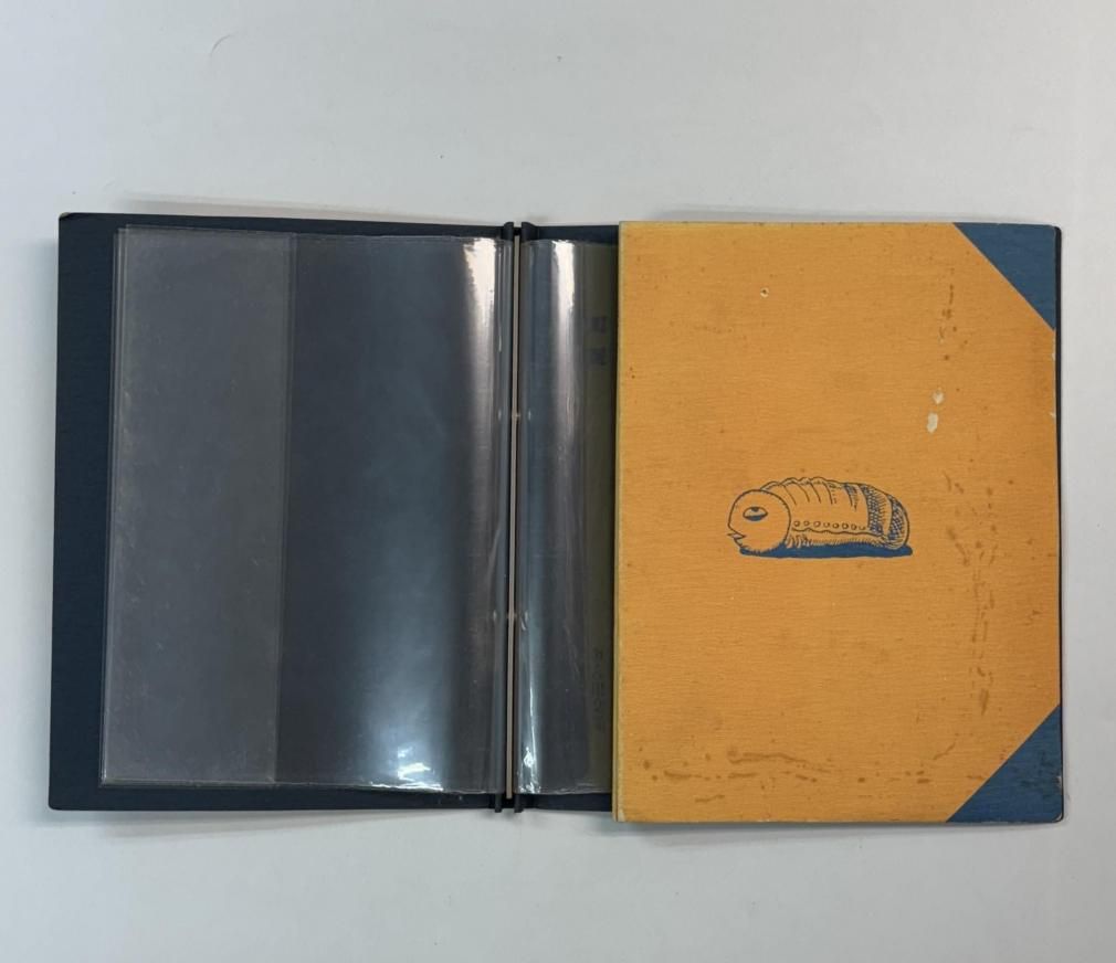 たま ファンクラブ会報 正直 創刊号から最終8号まで、完全揃い8冊