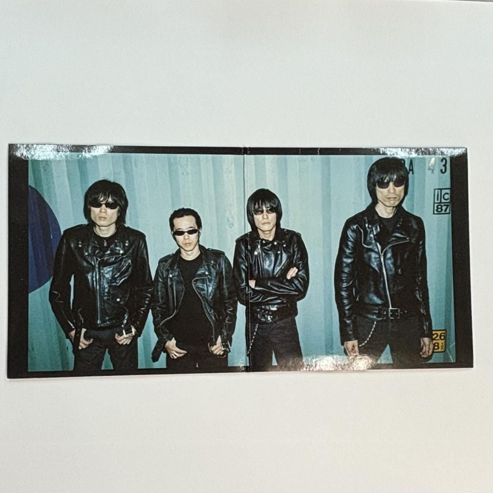 ミッシェルガンエレファント 限定10インチ・レコード THEE MICHELLE