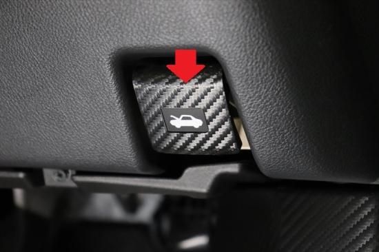 レクサスNX20系 ボンネットオープンレバーシート - 長野県松本市の