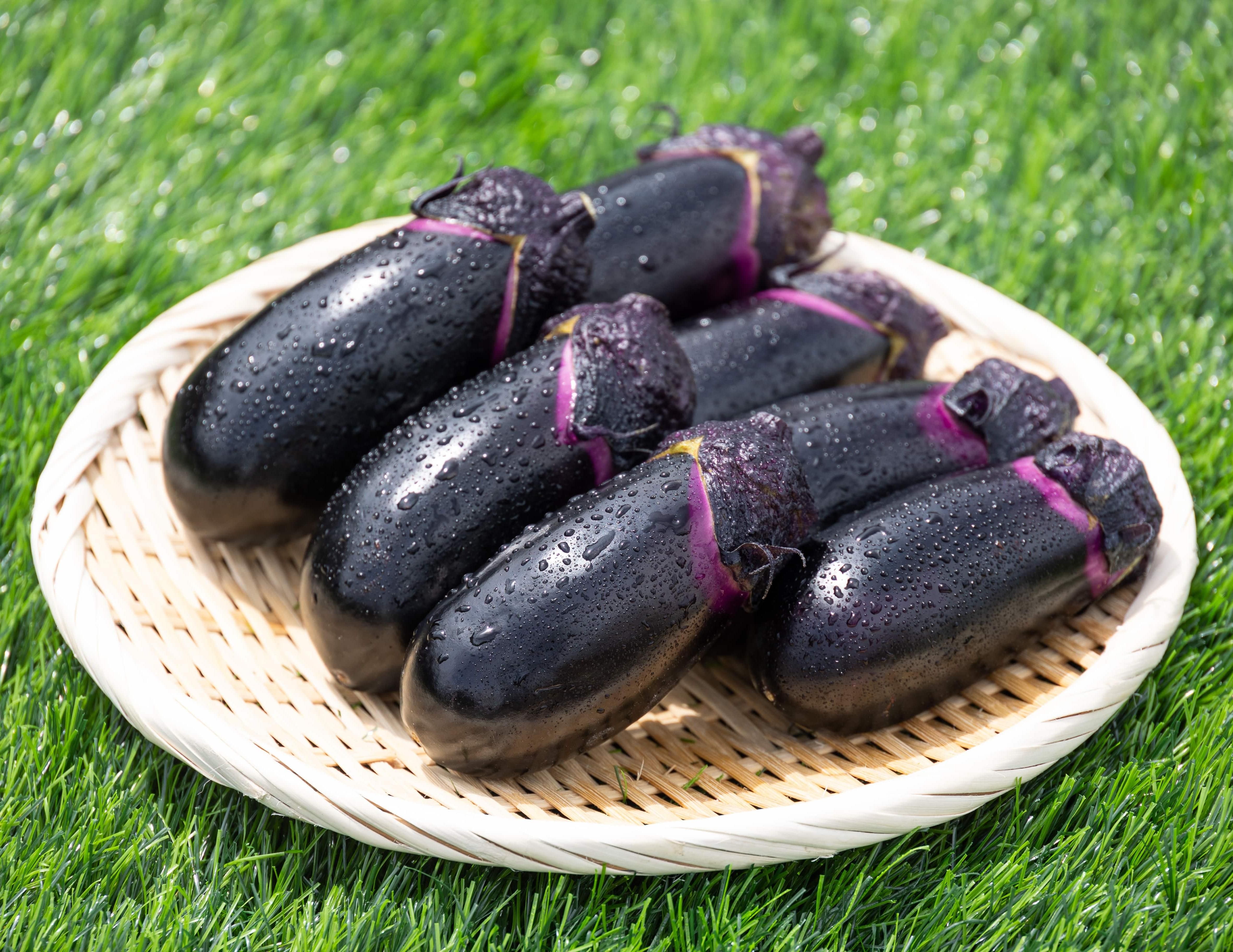 立仙農園】うちのなす3kg - 土佐香南まるごと旨市