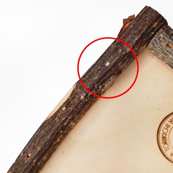 3代目】小鳥の介護ボード（小） | 木製 鳥用止まり木・介護ボード