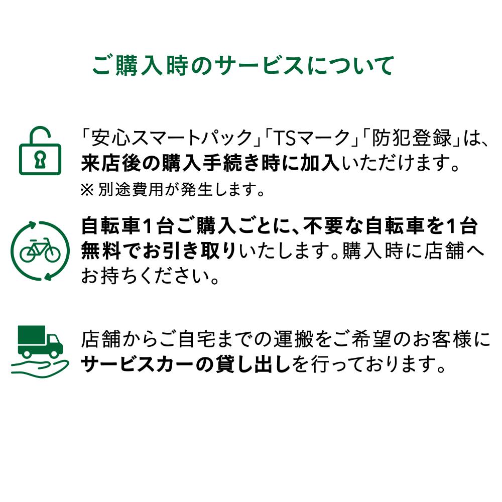 自転車】電動アシスト自転車 ViVi・YK ビビ・YX 特別仕様 シングル 26