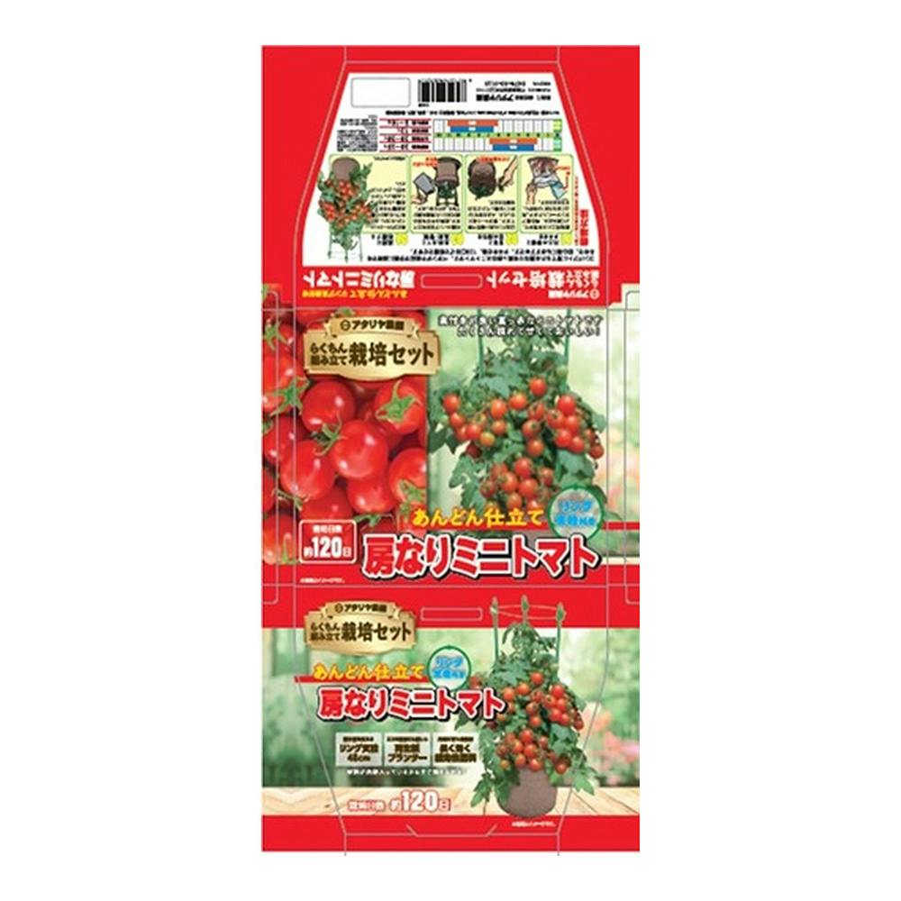 支柱付き栽培セット 房なりミニトマト | 花＆グリーン 通販