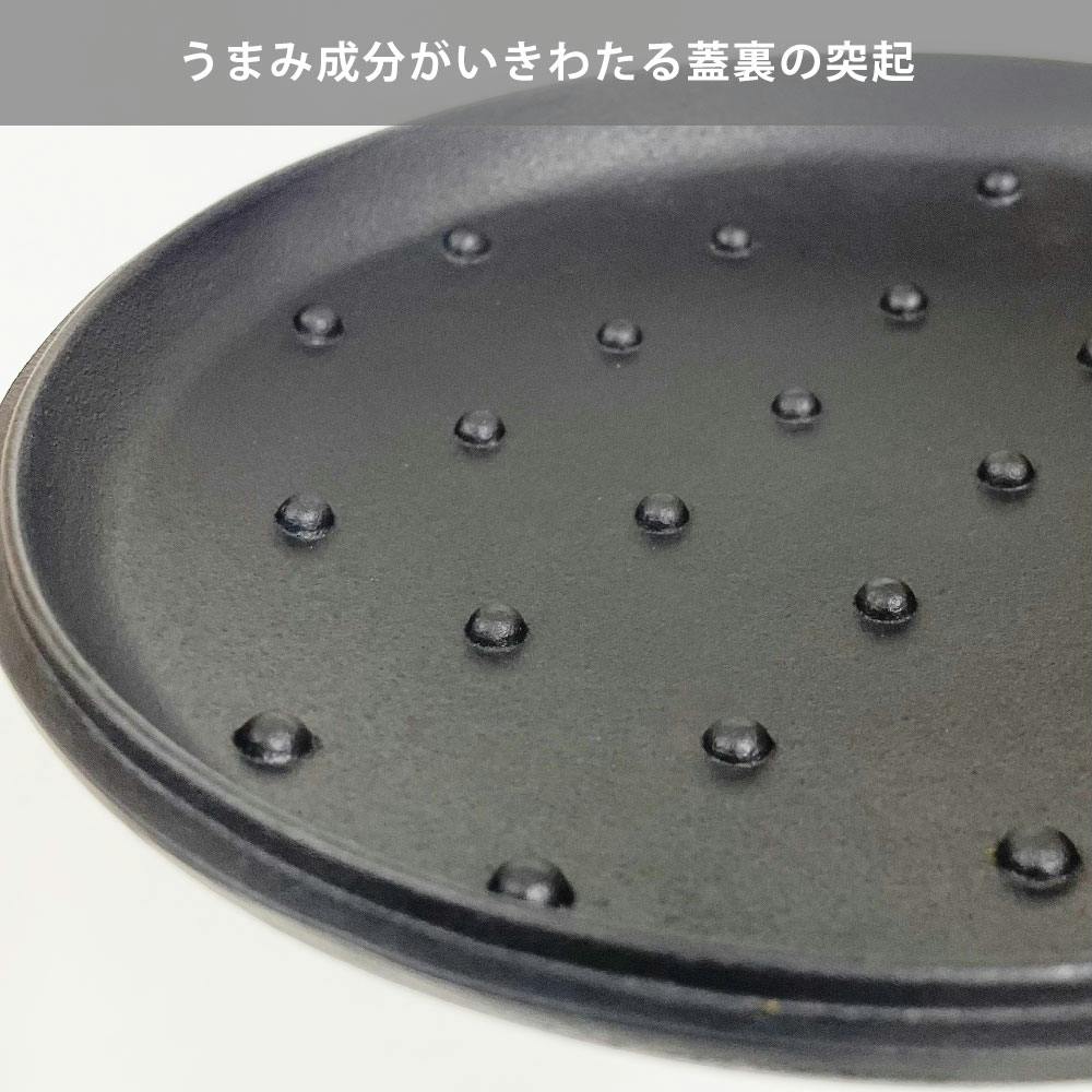 岩鋳 CUROCO クロコ キャセロール 20cm 深型 直火 IH対応 南部鉄器